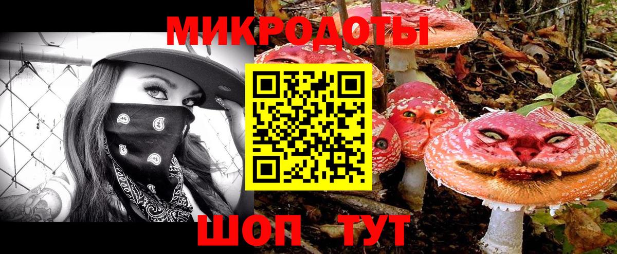 Псилоцибиновые грибы мухоморы Шахты