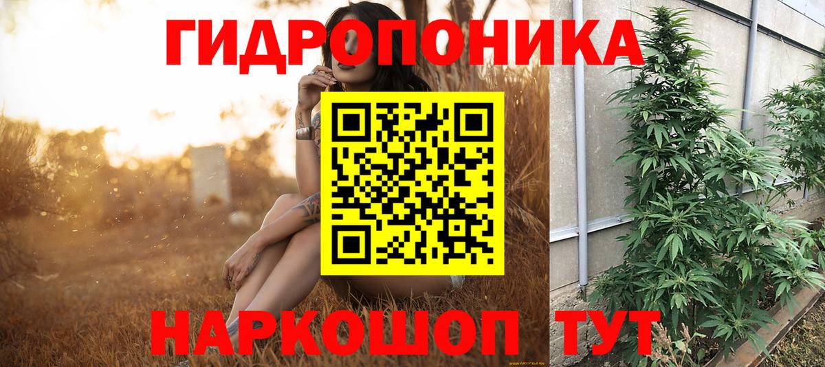 Канабис ГИДРОПОН  Вход с VPN  Шахты  МАРИХУАНА SATIVA & INDICA  Бошки марихуана конопля 